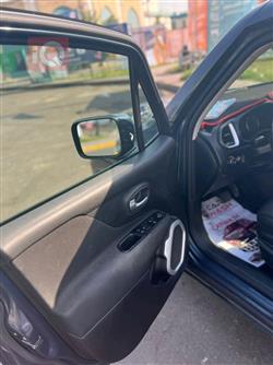 جيب رينيجيد